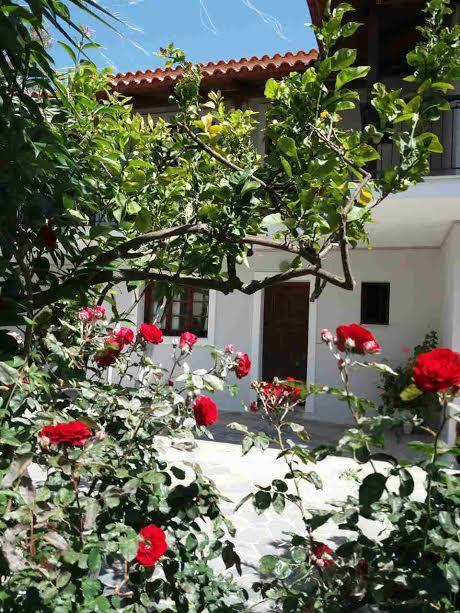 Athina Apartments 阿凯松 外观 照片